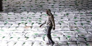 Bags of subsidised fertiliser at the National Cereals and Produce Board depot in Elburgon, Nakuru County,